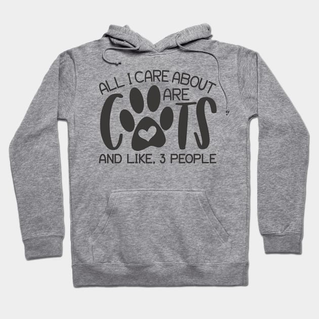 Cat Lover All I Care About Are Cats And Like 3 People Hoodie by TruckerJunk